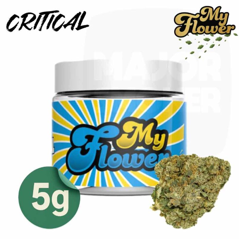 fleur-de-CBD-CRITIAL-POT-My-flower-5-grammes-majorsmoker.com fleur de cbd critical, fleurs de cbd critical, fleurs de cbd, fleur de cbd, fleur de cbd france, fleur de cbd france achat, achat de fleur cbd france, comment consommer la fleur de cbd, fleur de cbd pas cher, fleur de cbd effets, fleur de cbd bienfaits, fleurs de cbd France, cbd, fleurs de chanvre cbd, meilleur fleur de cbd, fleure de cbd,