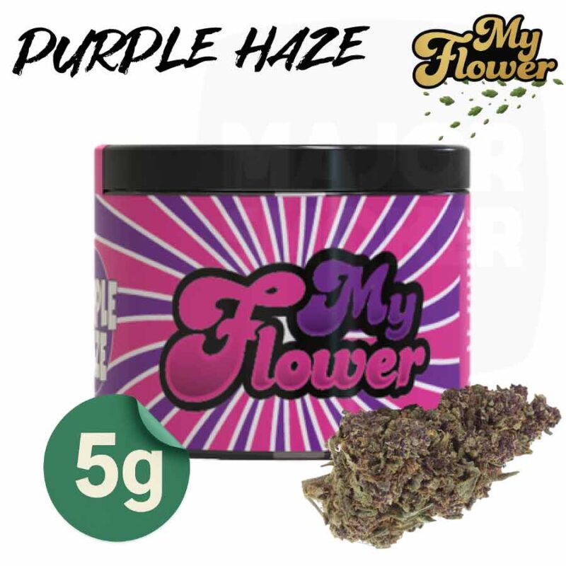 fleur-de-CBD-PURPLE-HAZE-POT-My-flower-5-grammes-majorsmoker.com fleur de cbd purple haze, fleurs de cbd purple haze, fleurs de cbd, fleur de cbd, fleur de cbd france, fleur de cbd france achat, achat de fleur cbd france, comment consommer la fleur de cbd, fleur de cbd pas cher, fleur de cbd effets, fleur de cbd bienfaits, fleurs de cbd France, cbd, fleurs de chanvre cbd, meilleur fleur de cbd, fleure de cbd,