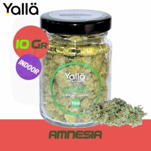 fleur de cbd, fleur cbd, fleur de cbd amnesia, amnesia cbd, fleur cbd amnesia, cbd amnesia