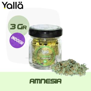 fleur de cbd, fleur cbd, fleur de cbd amnesia, amnesia cbd, fleur cbd amnesia, cbd amnesia