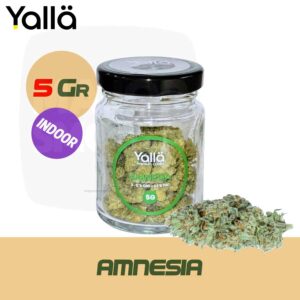 fleur de cbd, fleur cbd, fleur de cbd amnesia, amnesia cbd, fleur cbd amnesia, cbd amnesia