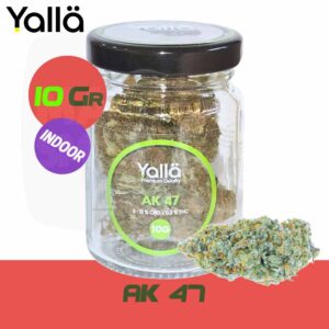 fleur de cbd, fleur cbd, cbd fleur, fleur de cbd yalla, fleur cbd ak47, fleur de cbd ak47, fleur cbd ak 47, fleur de cbd ak 47