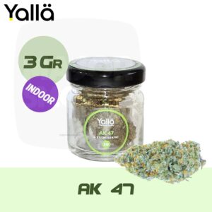 fleur de cbd, fleur cbd, cbd fleur, fleur de cbd yalla, fleur cbd ak47, fleur de cbd ak47, fleur cbd ak 47, fleur de cbd ak 47