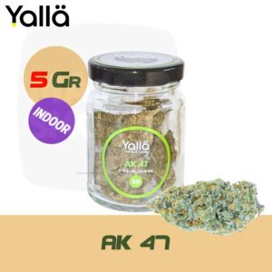 fleur de cbd, fleur cbd, cbd fleur, fleur de cbd yalla, fleur cbd ak47, fleur de cbd ak47, fleur cbd ak 47, fleur de cbd ak 47