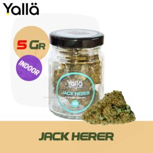 fleur cbd, cbd fleur, fleur de cbd, fleur de cbd jack herer, fleur cbd jack herer, jack herer fleur cbd, jack herer cbd, cbd jack herer