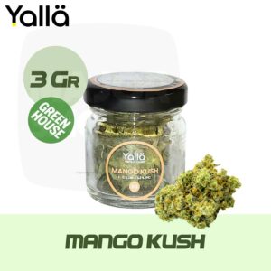 fleur de cbd, fleur cbd, cbd mango kush, mango kush cbd, fleur cbd mango kush, cbd fleur mango kush, fleur cbd mango kush