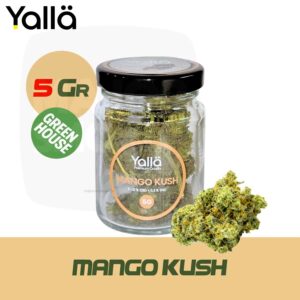 fleur de cbd, fleur cbd, cbd mango kush, mango kush cbd, fleur cbd mango kush, cbd fleur mango kush, fleur cbd mango kush