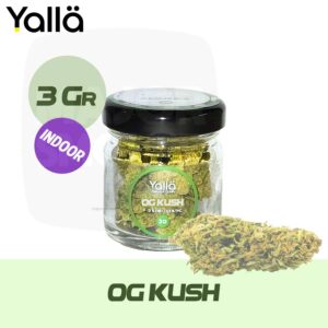 fleur cbd, cbd fleur, fleur de cbd, fleur de cbd og kush, fleur cbd og kush, og kush fleur cbd, og kush cbd, cbd og kush