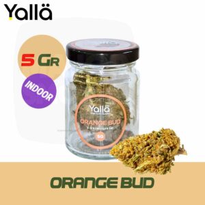 fleur cbd, cbd fleur, fleur de cbd, fleur de cbd orange bud, fleur cbd orange bud, orange bud fleur cbd, orange bud cbd, cbd orange bud