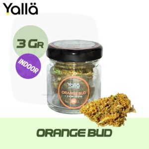 fleur cbd, cbd fleur, fleur de cbd, fleur de cbd orange bud, fleur cbd orange bud, orange bud fleur cbd, orange bud cbd, cbd orange bud