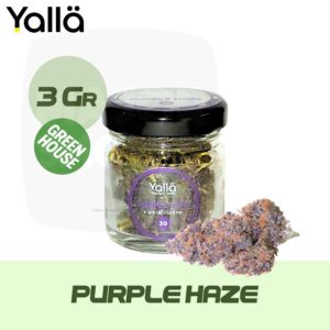 fleur cbd, cbd fleur, fleur de cbd, fleur de cbd purple haze, fleur cbd purple haze, purple haze fleur cbd, purple haze cbd, cbd purple haze