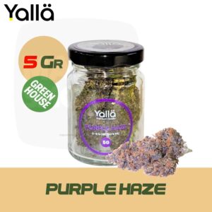 fleur cbd, cbd fleur, fleur de cbd, fleur de cbd purple haze, fleur cbd purple haze, purple haze fleur cbd, purple haze cbd, cbd purple haze