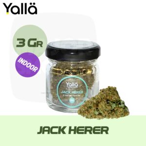 fleur cbd, cbd fleur, fleur de cbd, fleur de cbd jack herer, fleur cbd jack herer, jack herer fleur cbd, jack herer cbd, cbd jack herer