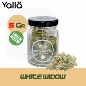 fleur de cbd white widow, white widow cbd, cbd white widow, fleur cbd, fleur cbd white widow