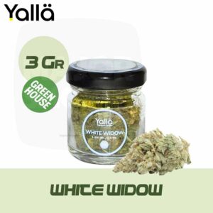 fleur de cbd white widow, white widow cbd, cbd white widow, fleur cbd, fleur cbd white widow