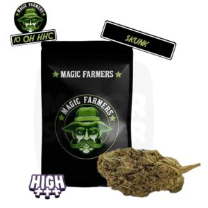 10-oh-hhc, 10 oh hhc, 10-oh-hhc avis, 10 oh hhc avis, cbd 10 oh hhc, 10 oh-hhc effet, cbd, 10-oh hhc, 10 oh hhc pas cher, cbd 10-oh-hhc, cbd, cbd pas cher, effet cbd, cbd sans thc, magic farmer, 10 oh hhc magic farmer, 10 oh hhc skunk