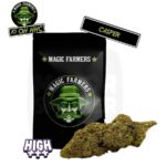 FLEUR-10-OH-HHC-magic-farmer-5gr-casper-majorsmoker.com 10-oh-hhc, 10 oh hhc, 10-oh-hhc avis, 10 oh hhc avis, cbd 10 oh hhc, 10 oh-hhc effet, cbd, 10-oh hhc, 10 oh hhc pas cher, cbd 10-oh-hhc, cbd, cbd pas cher, effet cbd, cbd sans thc, magic farmer, 10 oh hhc magic farmer, 10 oh hhc casper,