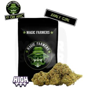 10-oh-hhc, 10 oh hhc, 10-oh-hhc avis, 10 oh hhc avis, cbd 10 oh hhc, 10 oh-hhc effet, cbd, 10-oh hhc, 10 oh hhc pas cher, cbd 10-oh-hhc, cbd, cbd pas cher, effet cbd, cbd sans thc, magic farmer, 10 oh hhc magic farmer, 10 oh hhc early girl