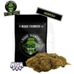 FLEUR-10-OH-HHC-magic-farmer-5gr-mimosa-majorsmoker.com 10-oh-hhc, 10 oh hhc, 10-oh-hhc avis, 10 oh hhc avis, cbd 10 oh hhc, 10 oh-hhc effet, cbd, 10-oh hhc, 10 oh hhc pas cher, cbd 10-oh-hhc, cbd, cbd pas cher, effet cbd, cbd sans thc, magic farmer, 10 oh hhc magic farmer, 10 oh hhc mimosa