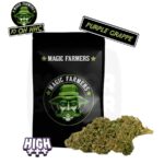 FLEUR-10-OH-HHC-magic-farmer-5gr-purple-grappe-majorsmoker.com 10-oh-hhc, 10 oh hhc, 10-oh-hhc avis, 10 oh hhc avis, cbd 10 oh hhc, 10 oh-hhc effet, cbd, 10-oh hhc, 10 oh hhc pas cher, cbd 10-oh-hhc, cbd, cbd pas cher, effet cbd, cbd sans thc, magic farmer, 10 oh hhc magic farmer, 10 oh hhc grappe