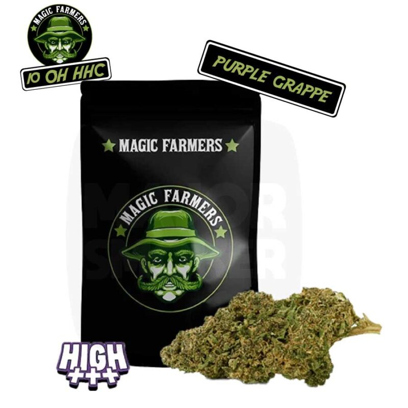FLEUR-10-OH-HHC-magic-farmer-5gr-purple-grappe-majorsmoker.com 10-oh-hhc, 10 oh hhc, 10-oh-hhc avis, 10 oh hhc avis, cbd 10 oh hhc, 10 oh-hhc effet, cbd, 10-oh hhc, 10 oh hhc pas cher, cbd 10-oh-hhc, cbd, cbd pas cher, effet cbd, cbd sans thc, magic farmer, 10 oh hhc magic farmer, 10 oh hhc grappe