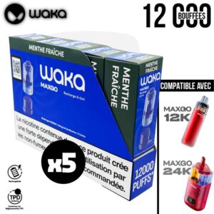 Maxgo waka pod en boite menthe, mamx go waka pod menthe fraiche x5, Cartouche Waka MaxGO menthe fraiche, pod max go en lot, pods waka max go boite