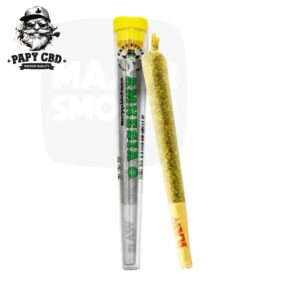 papy cbd, cbd, preroll, cbd preroll, pre roll cbd, preroll cbd, cbd pre roll, cone cbd, cone amnesia, cone pre rouler, cbd cone,preroll papy cbd, papy cbd preroll, cbd amnesia pas chere, amnesia cbd, cbd amnesia, cbd indoor, amnesia indoor
