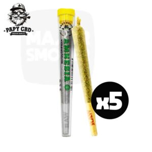 papy cbd, cbd, preroll, cbd preroll, pre roll cbd, preroll cbd, cbd pre roll, cone cbd, cone amnesia, cone pre rouler, cbd cone,preroll papy cbd, papy cbd preroll, cbd amnesia pas chere, amnesia cbd, cbd amnesia, cbd indoor, amnesia indoor