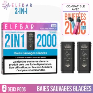 puff rechargeable, puff 2 en 1, puff 2en1, elfbar, puff elfbar, pod elfbar, recharge elfbar 2 en 1, elfbar 2en1, elfbar 2 en 1