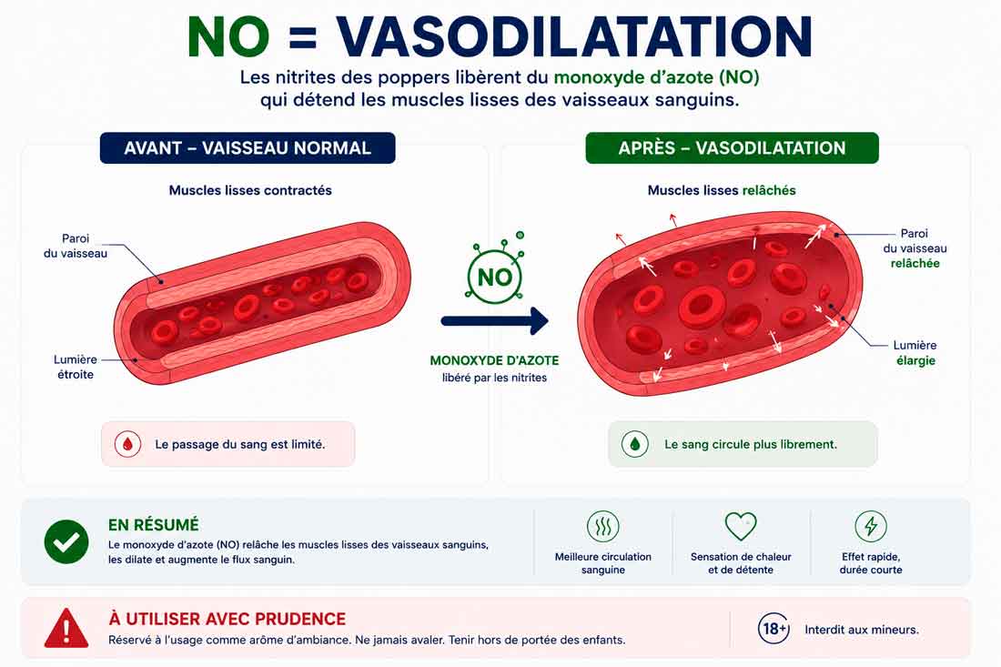 vasodilatation, explication vasodilatation,