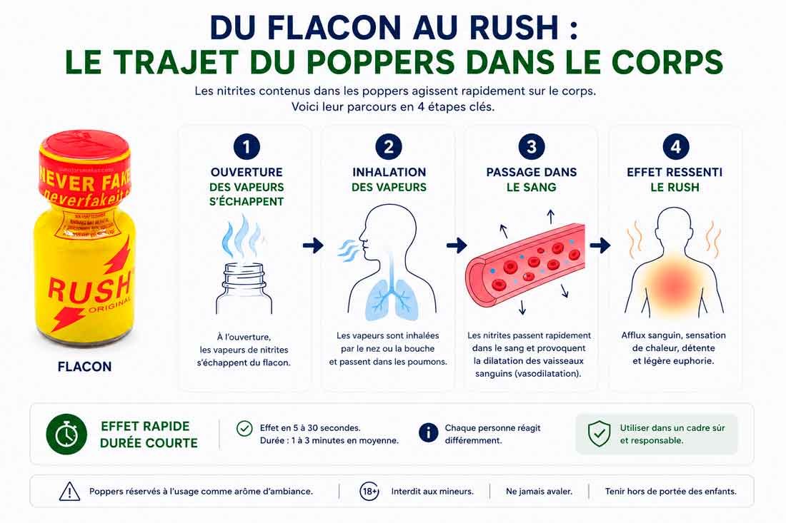 poppers et cerveaux, effets cerveaux poppers, poppers effet cerveaux