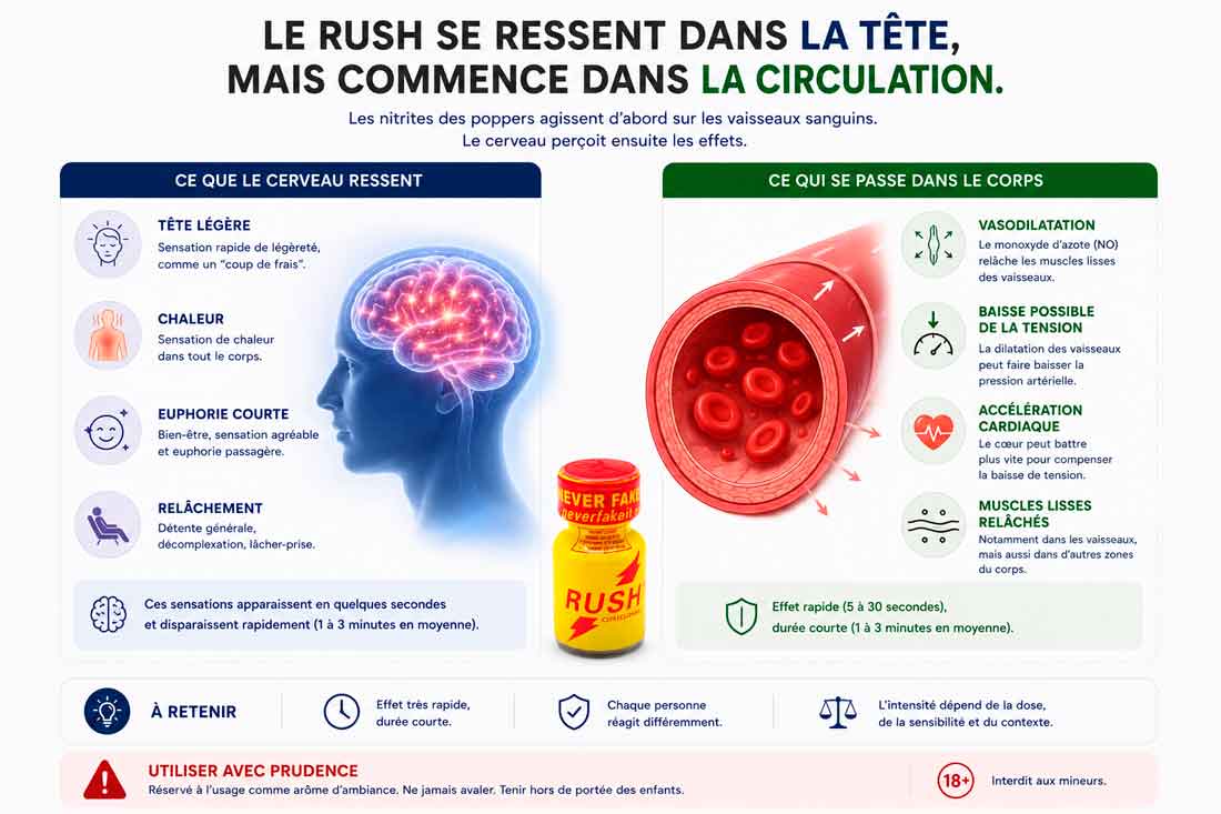 poppers effet explication, poppers effet coprs