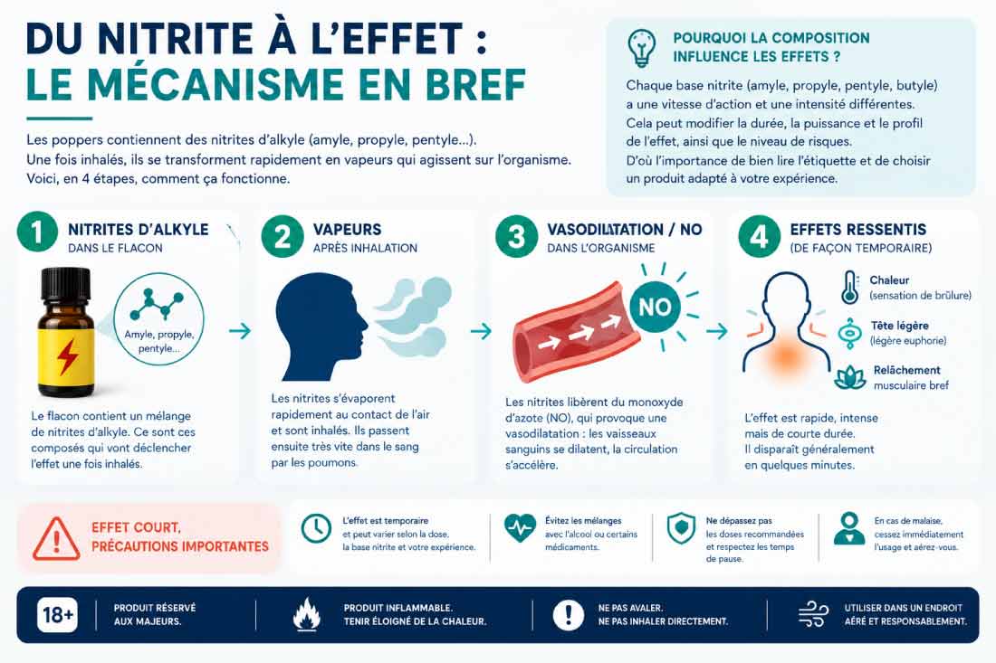 effet des nitrites de poppers sur l'homme