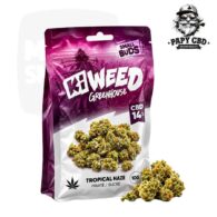 Small Buds Tropical Haze CBD 14 % KIWEED Greenhouse Papy CBD