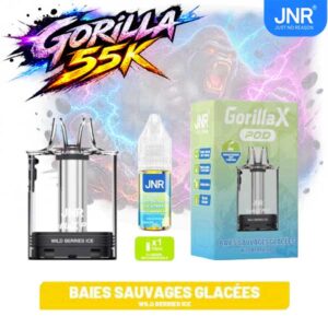 Cartouche pod de replacement JNR Gorilla X et flacon e-liquide Baies Sauvages Glacées 10ml